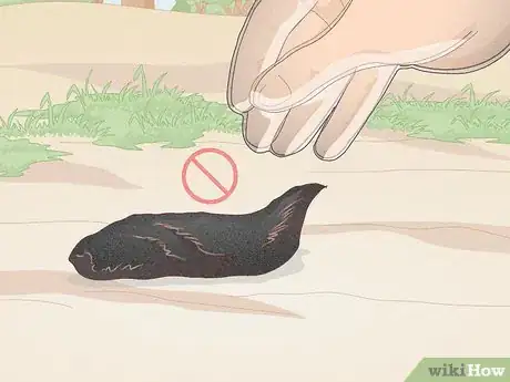 Image titled Find Owl Pellets Step 10