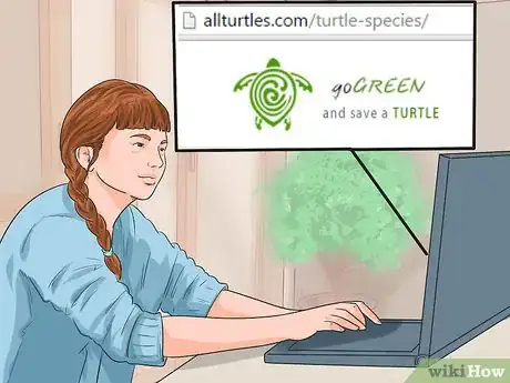 Imagen titulada Buy a Turtle Step 7