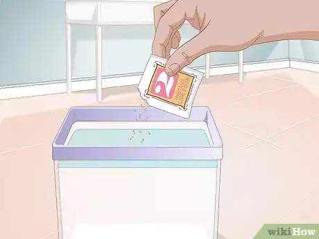 Imagen titulada Care for Sea Monkeys Step 4