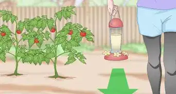 mantener a los gatos fuera del jardín
