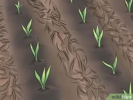 Imagen titulada Prevent Soil Erosion Step 8