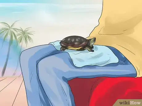 Imagen titulada Pet a Turtle Step 7