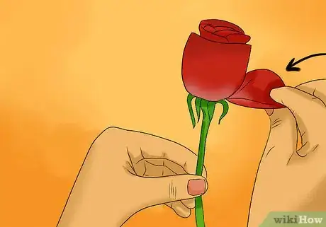 Imagen titulada Keep Rose Petals Fresh Step 6