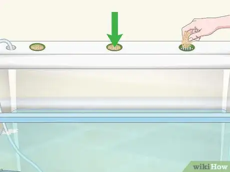 Imagen titulada Build a Hydroponics System Step 20
