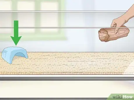 Imagen titulada Keep a Bullhead Catfish Step 3