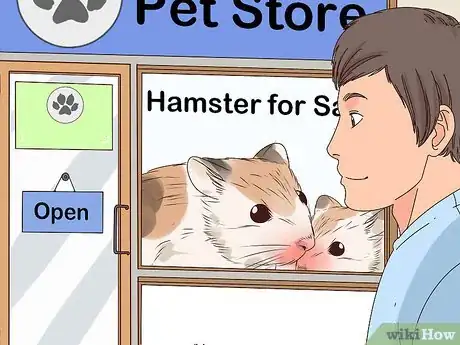 Imagen titulada Care for a Hamster Step 1