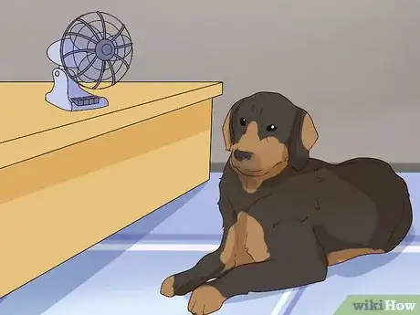 Imagen titulada Comfort Your Sick Dog Step 15