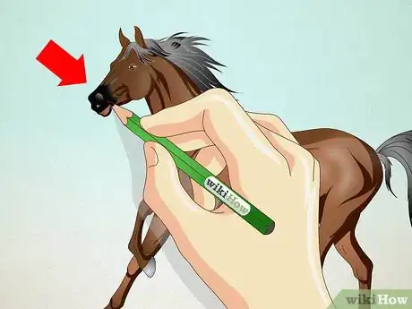 Imagen titulada Draw a Realistic Looking Horse Step 9