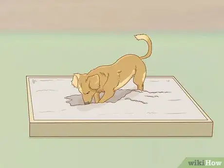 Imagen titulada Stop a Dog from Digging Step 7