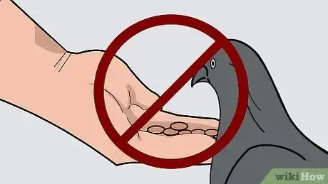 Imagen titulada Get Rid of Pigeons Step 4