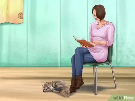 Imagen titulada Reprimand a Pet Step 2