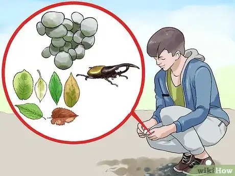 Imagen titulada Find a Low‐Cost Hobby Step 1
