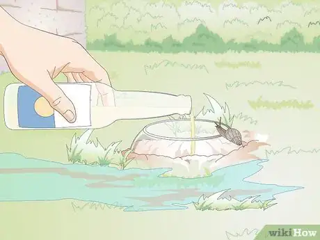 Imagen titulada Catch Snails Step 7