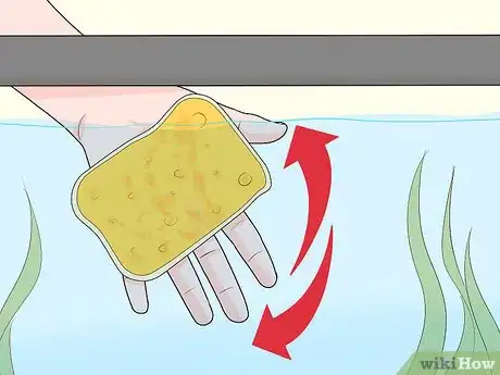Imagen titulada Clean a Saltwater Tank Step 5