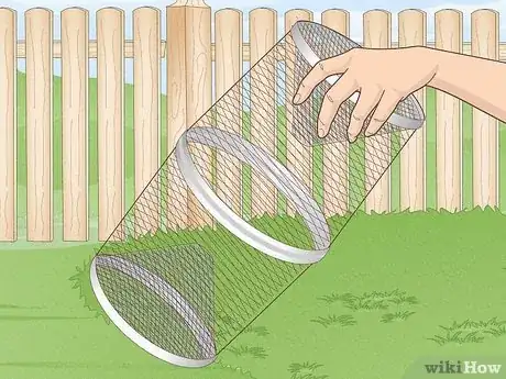 Imagen titulada Trap a Snake Step 3