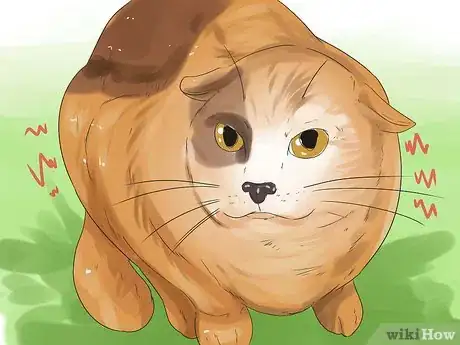 Imagen titulada Get Your Cat to Stop Hissing Step 2