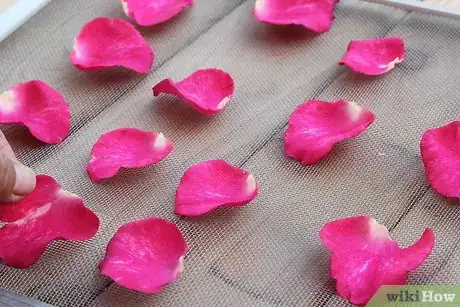 Imagen titulada Dry Rose Petals Step 4