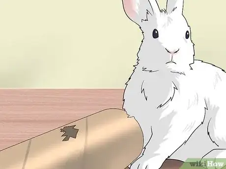Imagen titulada Make Homemade Rabbit Toys Step 9