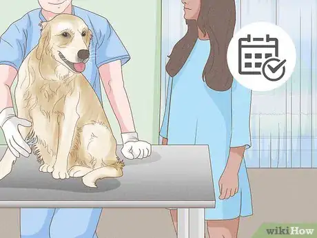 Imagen titulada Treat Skin Allergies in Golden Retrievers Step 18