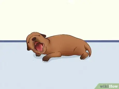 Imagen titulada Care for Newborn Puppies Step 32