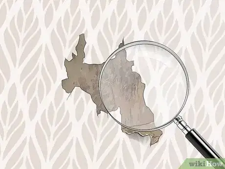 Imagen titulada Check for Bedbugs Step 14