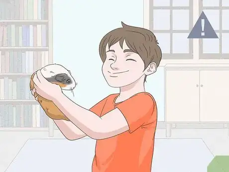 Imagen titulada Hold a Guinea Pig Step 17