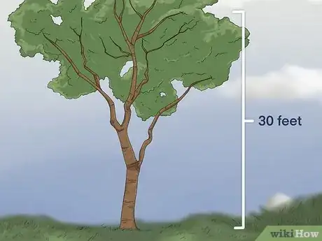 Imagen titulada Build a Squirrel House Step 10