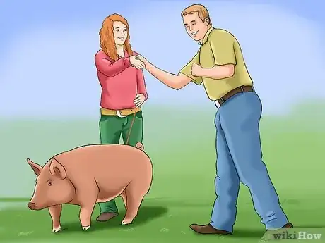 Imagen titulada Show Your Pigs Step 11