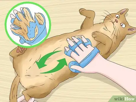Imagen titulada Help a Cat Cough Up a Hairball Step 18