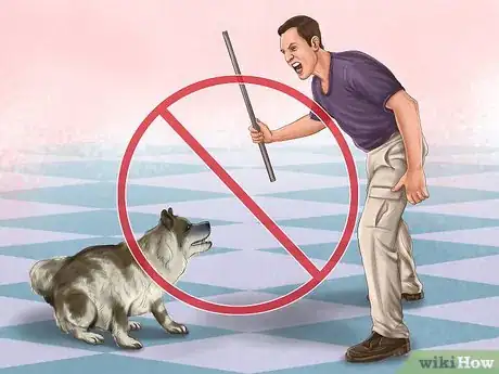 Imagen titulada Reprimand a Pet Step 4