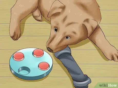 Imagen titulada Get Dogs to Stop Barking Step 17