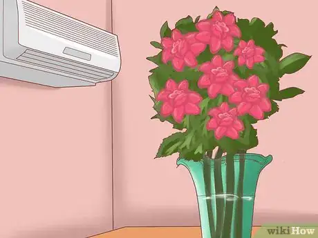Imagen titulada Make Roses Last Longer Step 4