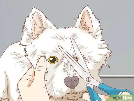 Imagen titulada Remove a Tear Duct Stain from White Dogs Step 8