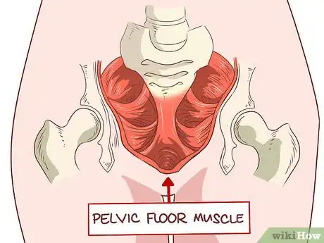 Imagen titulada Strengthen Your Bladder and Urinate Less Often Step 2