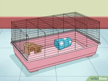 Imagen titulada Entertain Your Guinea Pig Step 5