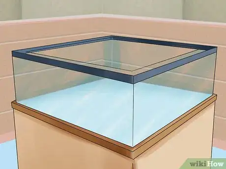 Imagen titulada Buy a Turtle Step 8