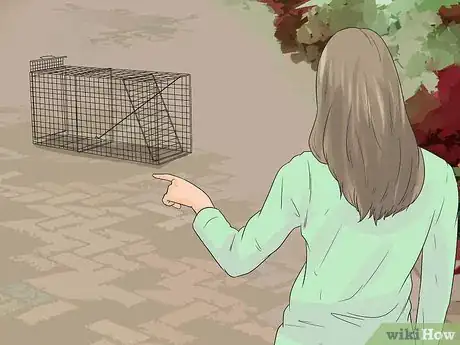 Imagen titulada Catch a Stray Dog Step 9
