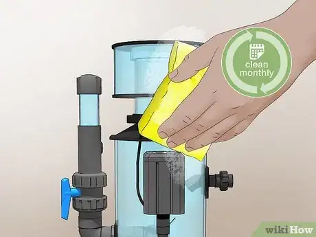 Imagen titulada Start a Saltwater Aquarium Step 41