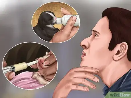 Imagen titulada Save Orphaned Newborn Puppies Step 11