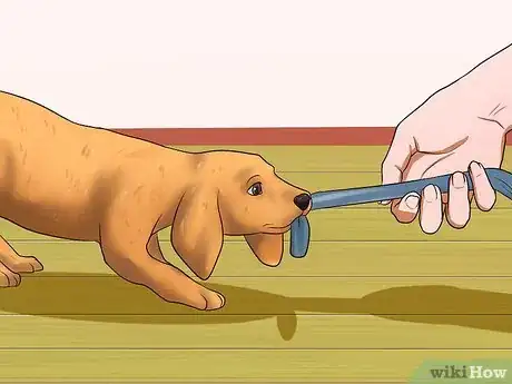 Imagen titulada Get Your Puppy to Stop Biting Step 13
