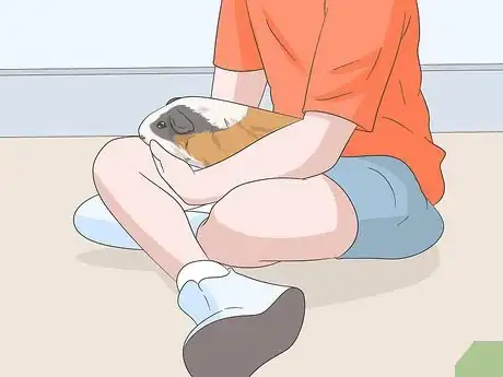 Imagen titulada Hold a Guinea Pig Step 18