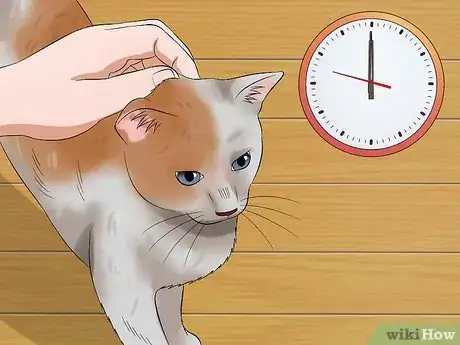 Imagen titulada Pet a High Strung Cat Step 16