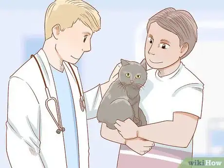 Imagen titulada Diagnose and Treat Anal Gland Disease in Cats Step 6
