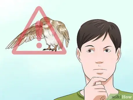 Imagen titulada Care for an Injured Wild Bird That Cannot Fly Step 5
