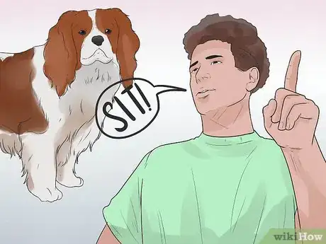Imagen titulada Train Cavalier King Charles Spaniels Step 13