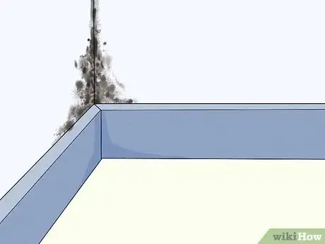Imagen titulada Kill Black Mold Step 1