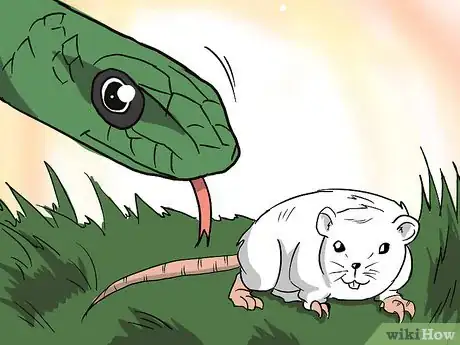 Imagen titulada Choose Your First Pet Snake Step 10Bullet2
