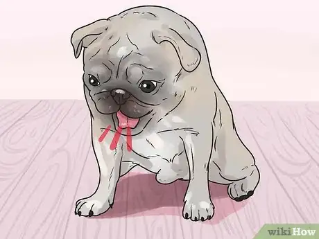Imagen titulada Save a Choking Dog Step 1