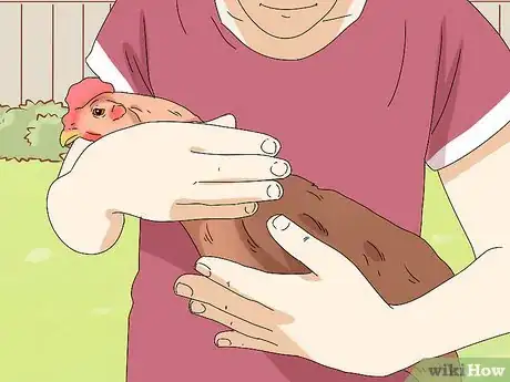 Imagen titulada Make a Chicken Harness Step 9