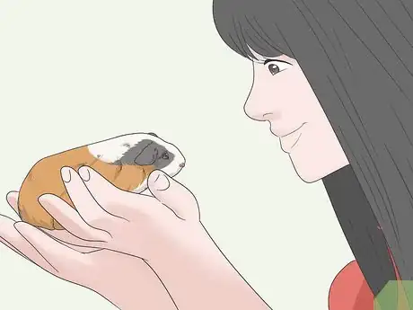 Imagen titulada Hold a Guinea Pig Step 19